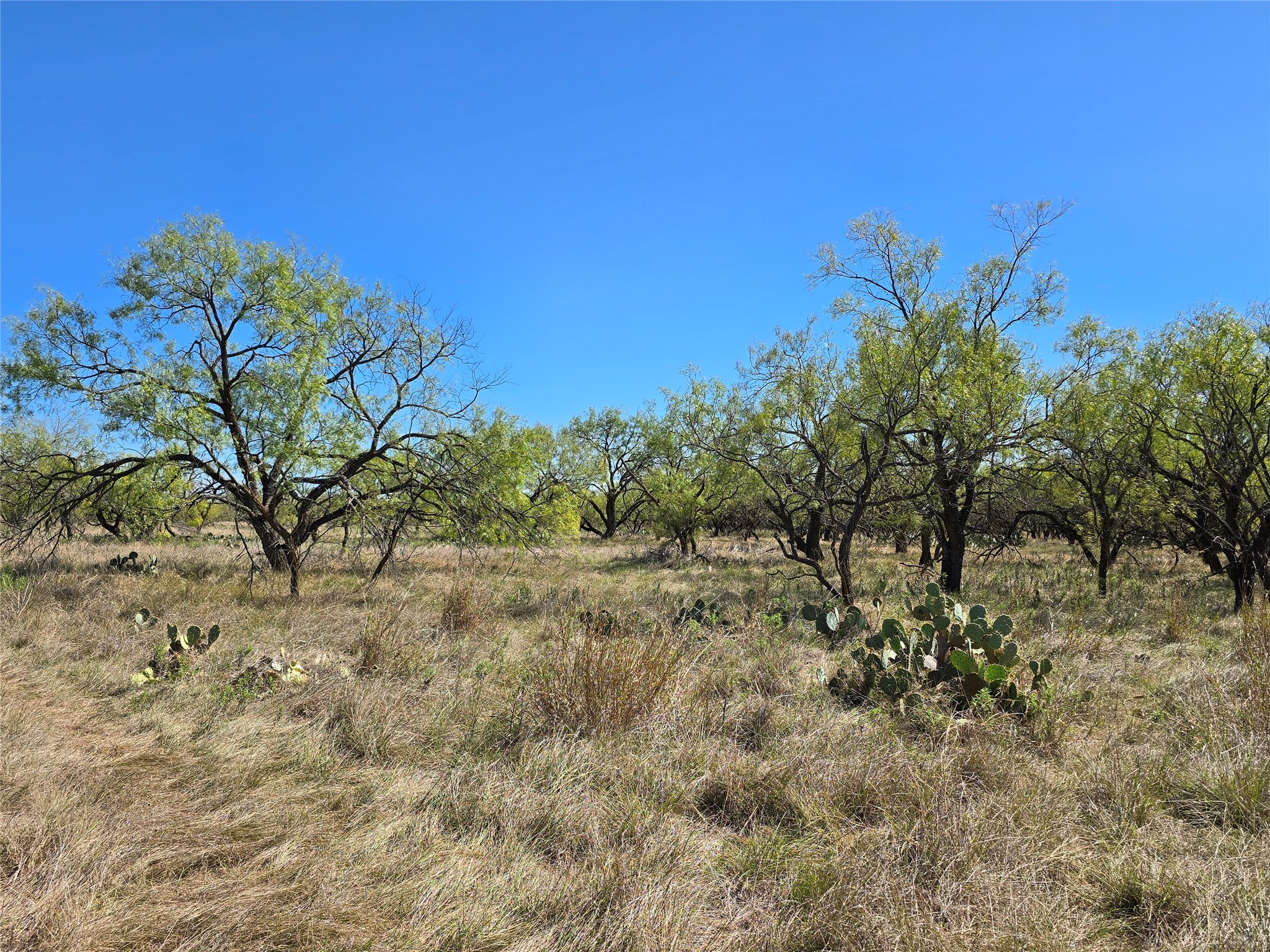8447 County Road 210 Clyde TX 79510