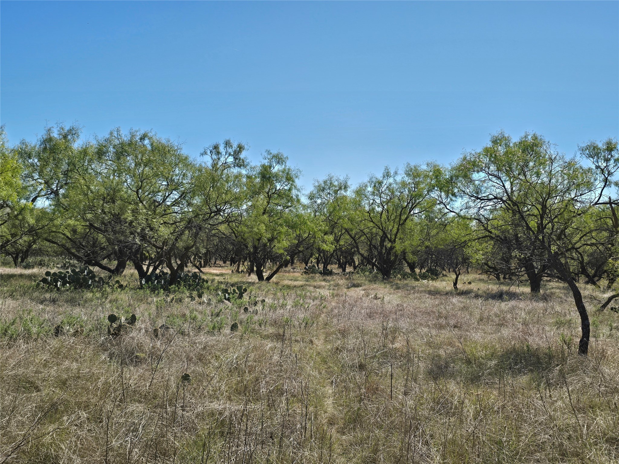 8447 County Road 210 Clyde TX 79510