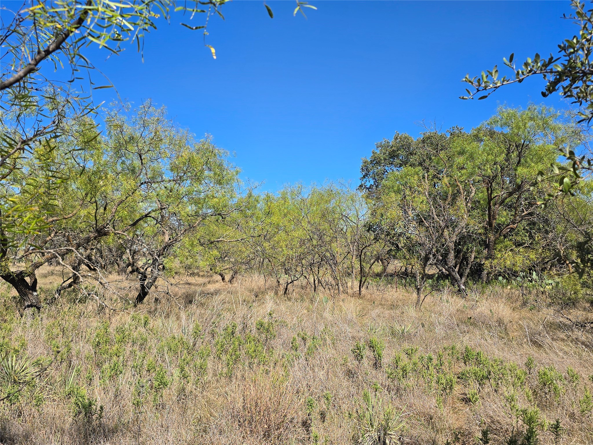 8447 County Road 210 Clyde TX 79510