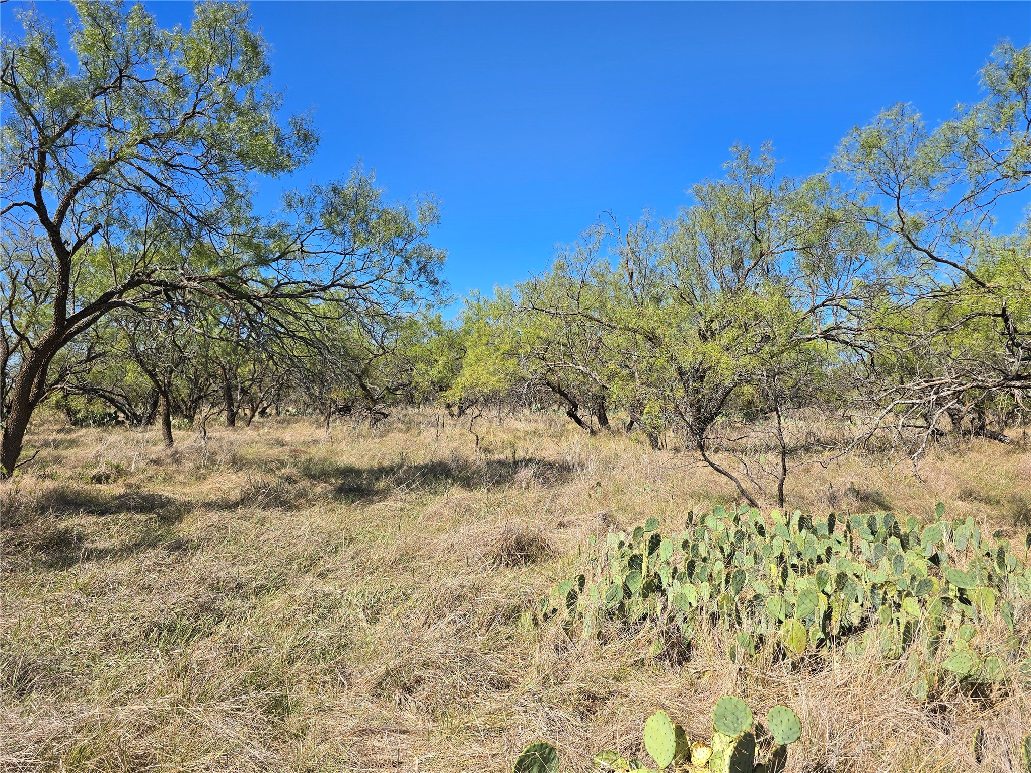 8447 County Road 210 Clyde TX 79510
