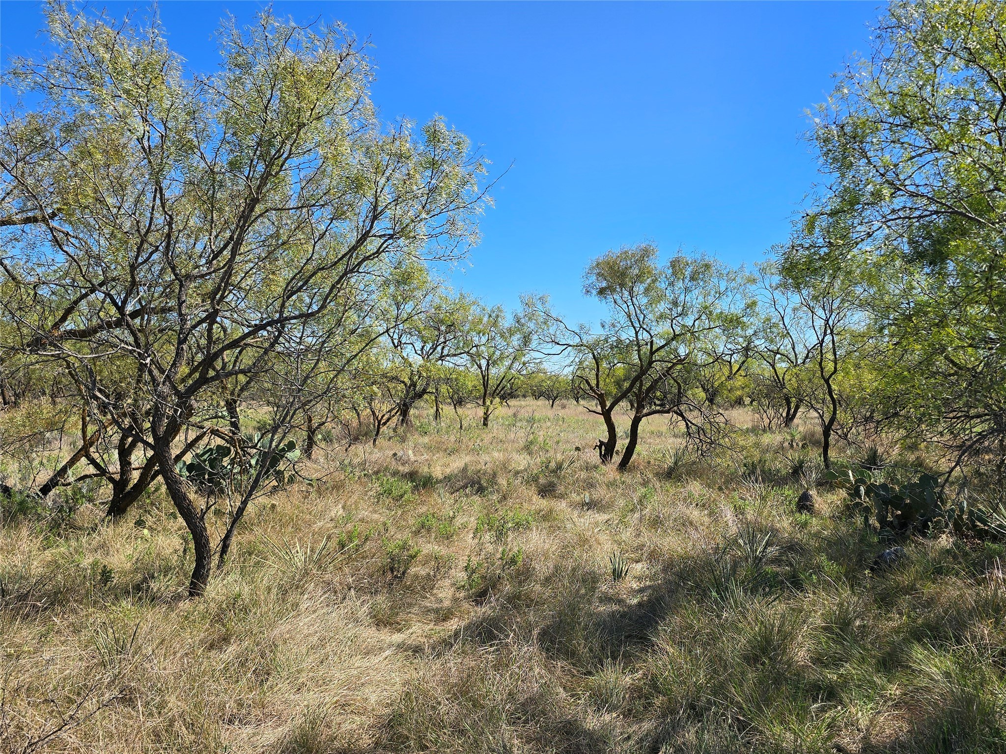 8447 County Road 210 Clyde TX 79510