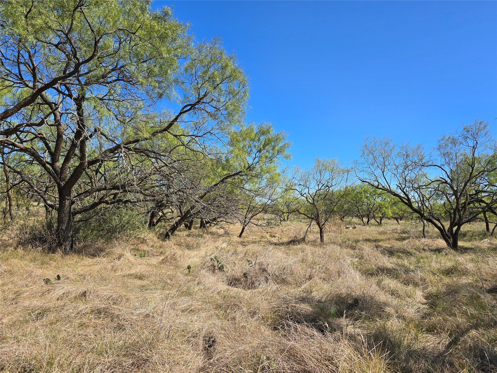 8447 County Road 210 Clyde TX 79510