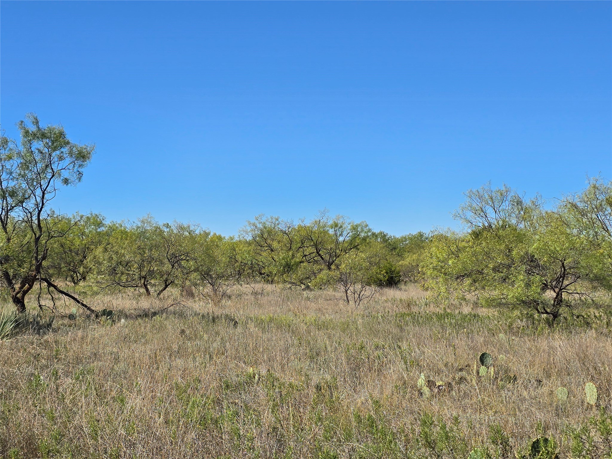 8447 County Road 210 Clyde TX 79510