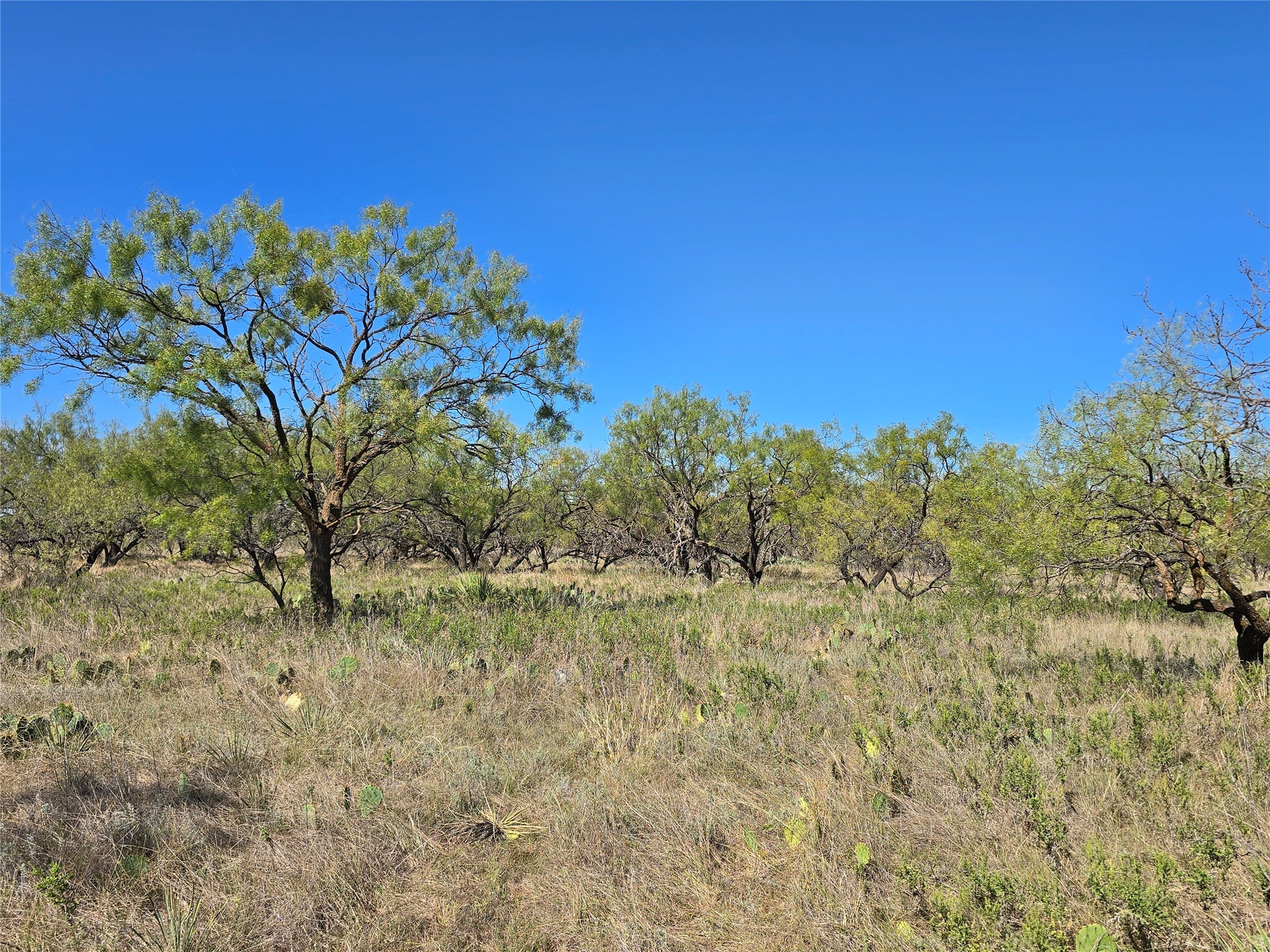 8447 County Road 210 Clyde TX 79510