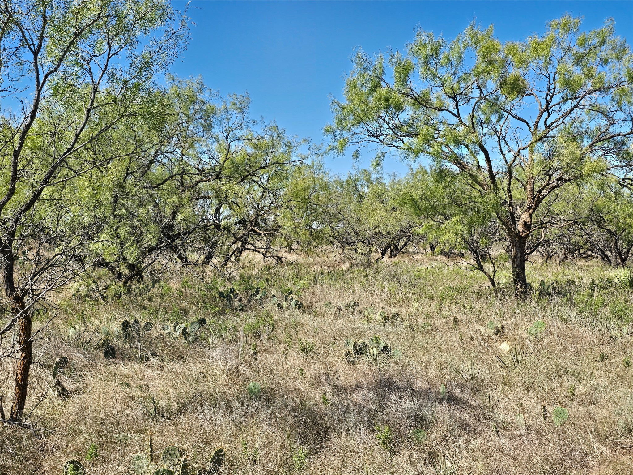 8447 County Road 210 Clyde TX 79510