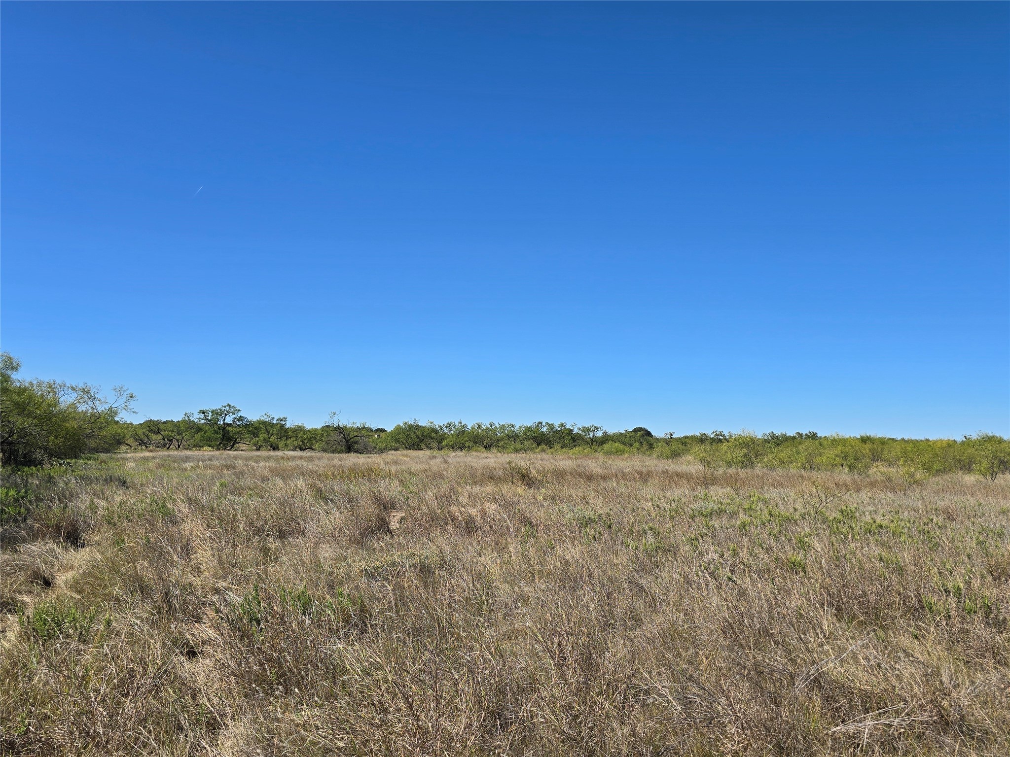 8447 County Road 210 Clyde TX 79510