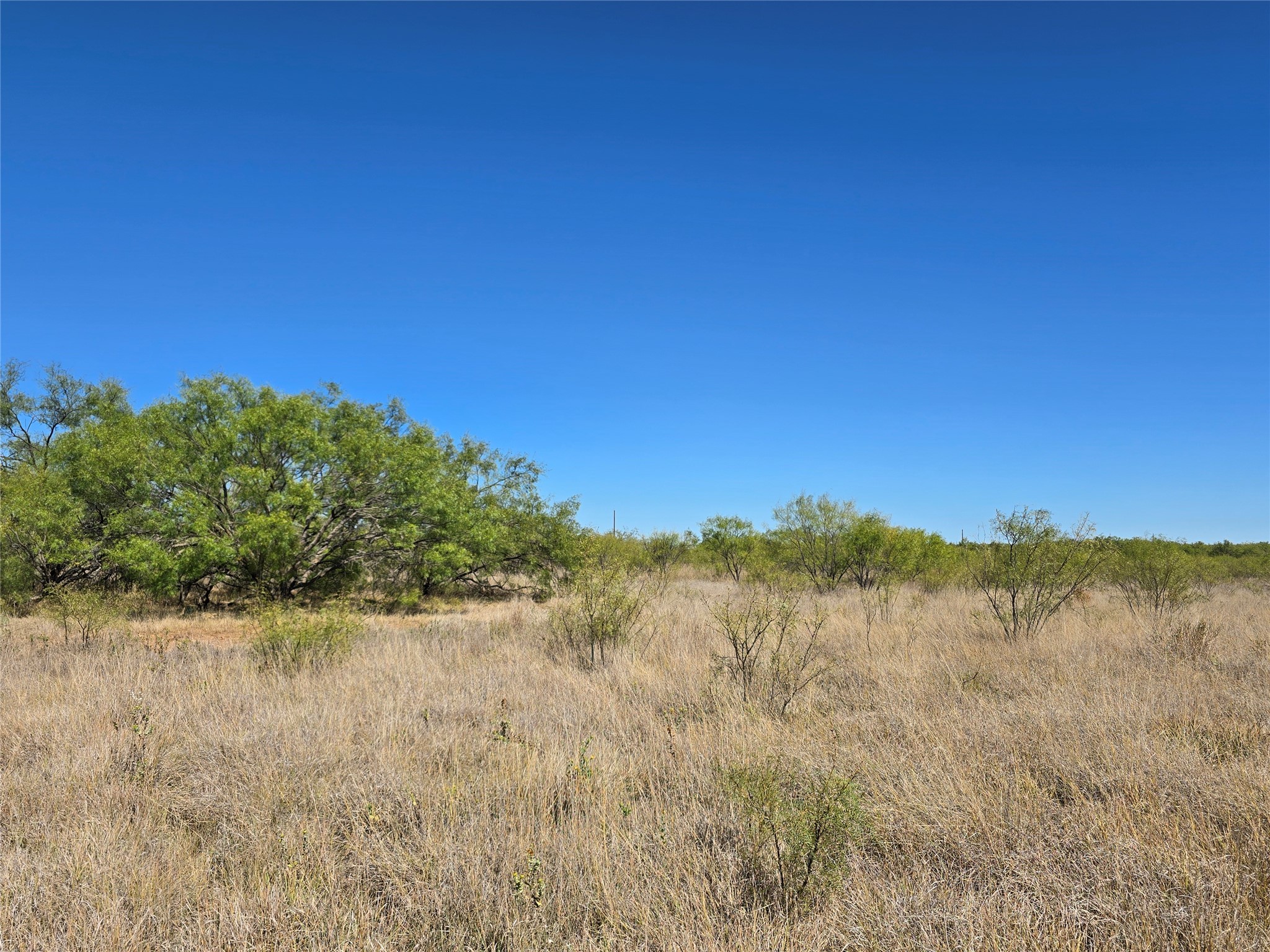 8447 County Road 210 Clyde TX 79510