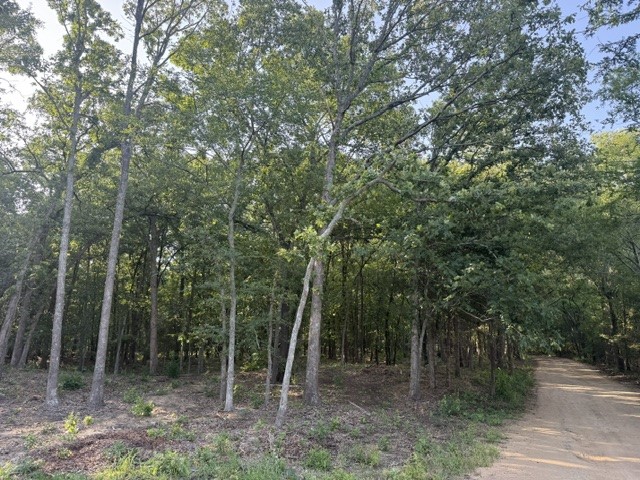 57 Pr 43955 Blossom TX 75416