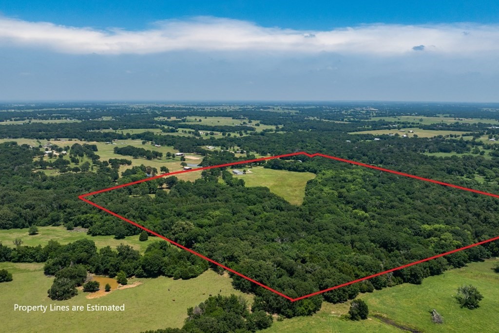 455 Vz County Road 2808 Mabank TX 75147