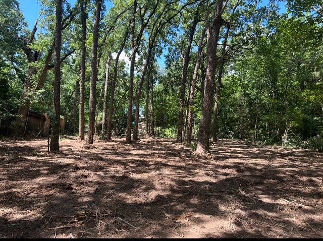 104 Red Bluff Loop Mabank TX 75156