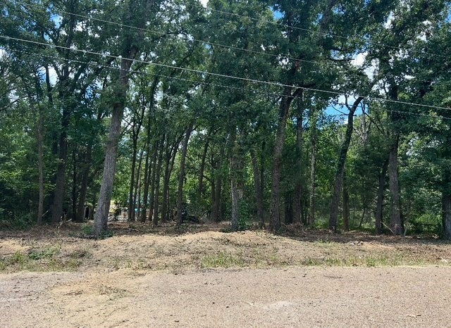 104 Red Bluff Loop Mabank TX 75156