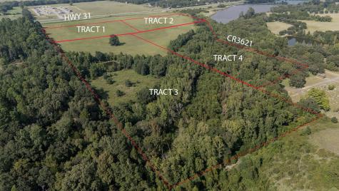 Lot 1 Tx-31 Brownsboro TX 75756