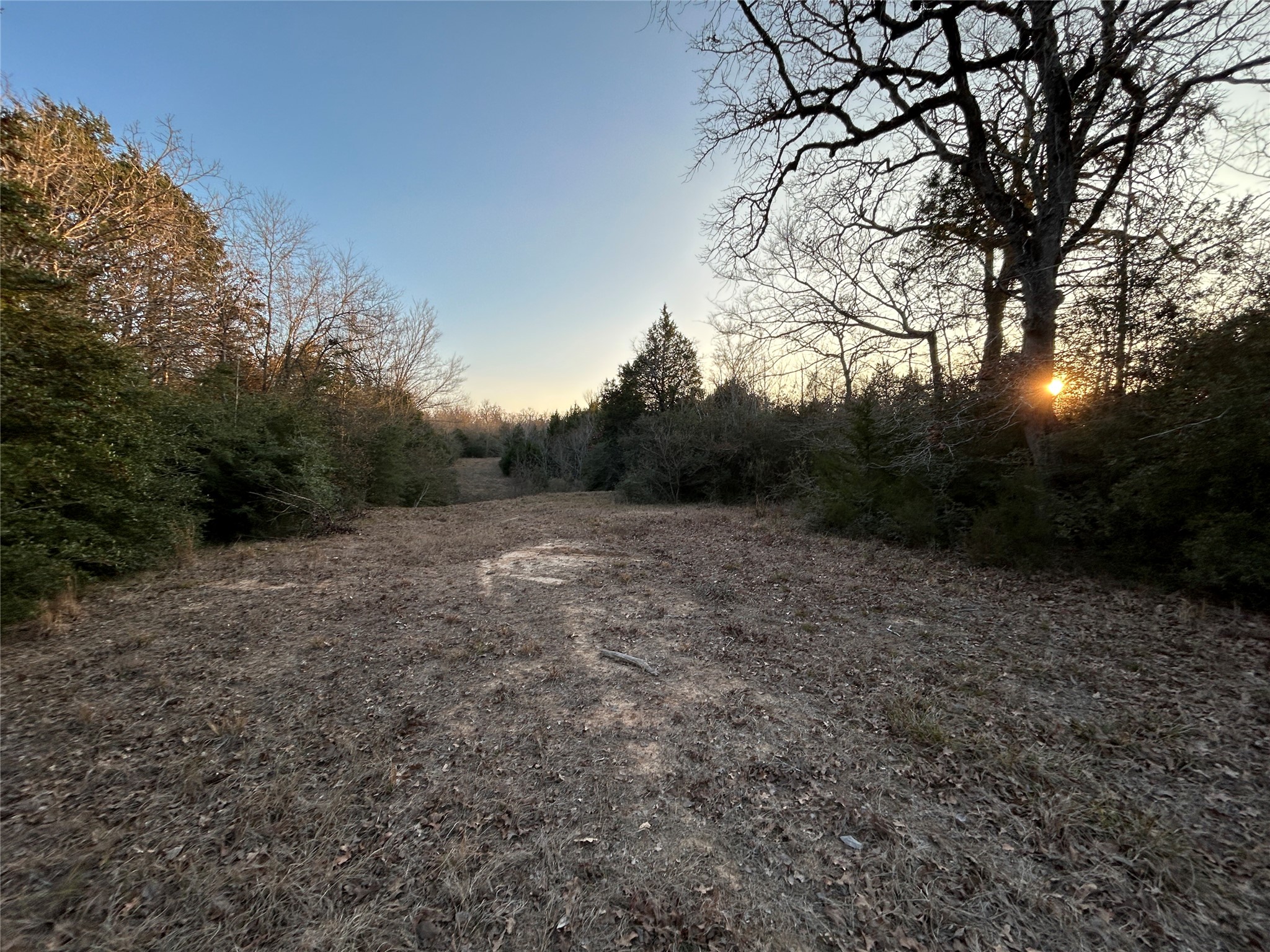 Tbd Fcr 540 Fairfield TX 75840