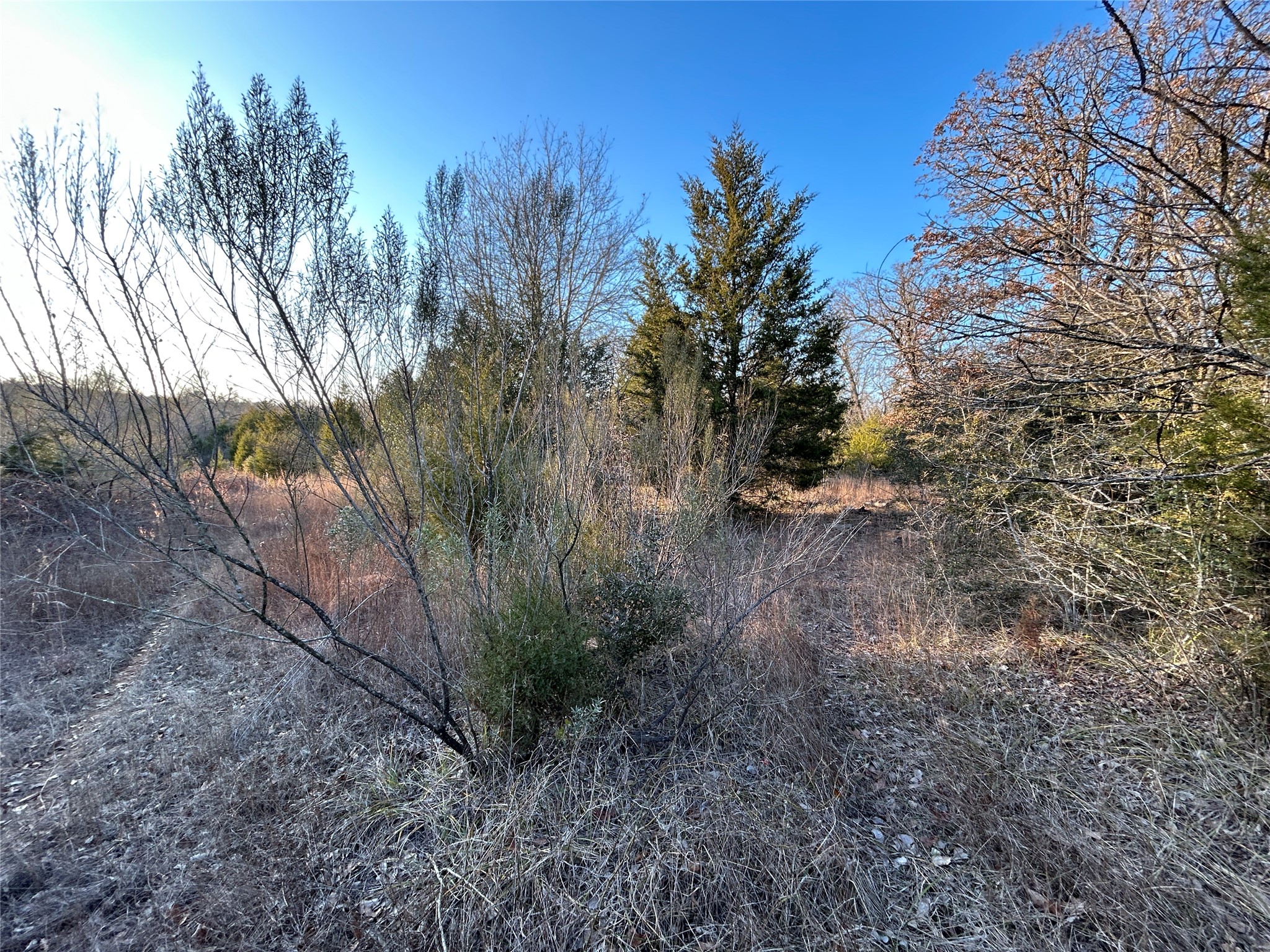 Tbd Fcr 540 Fairfield TX 75840