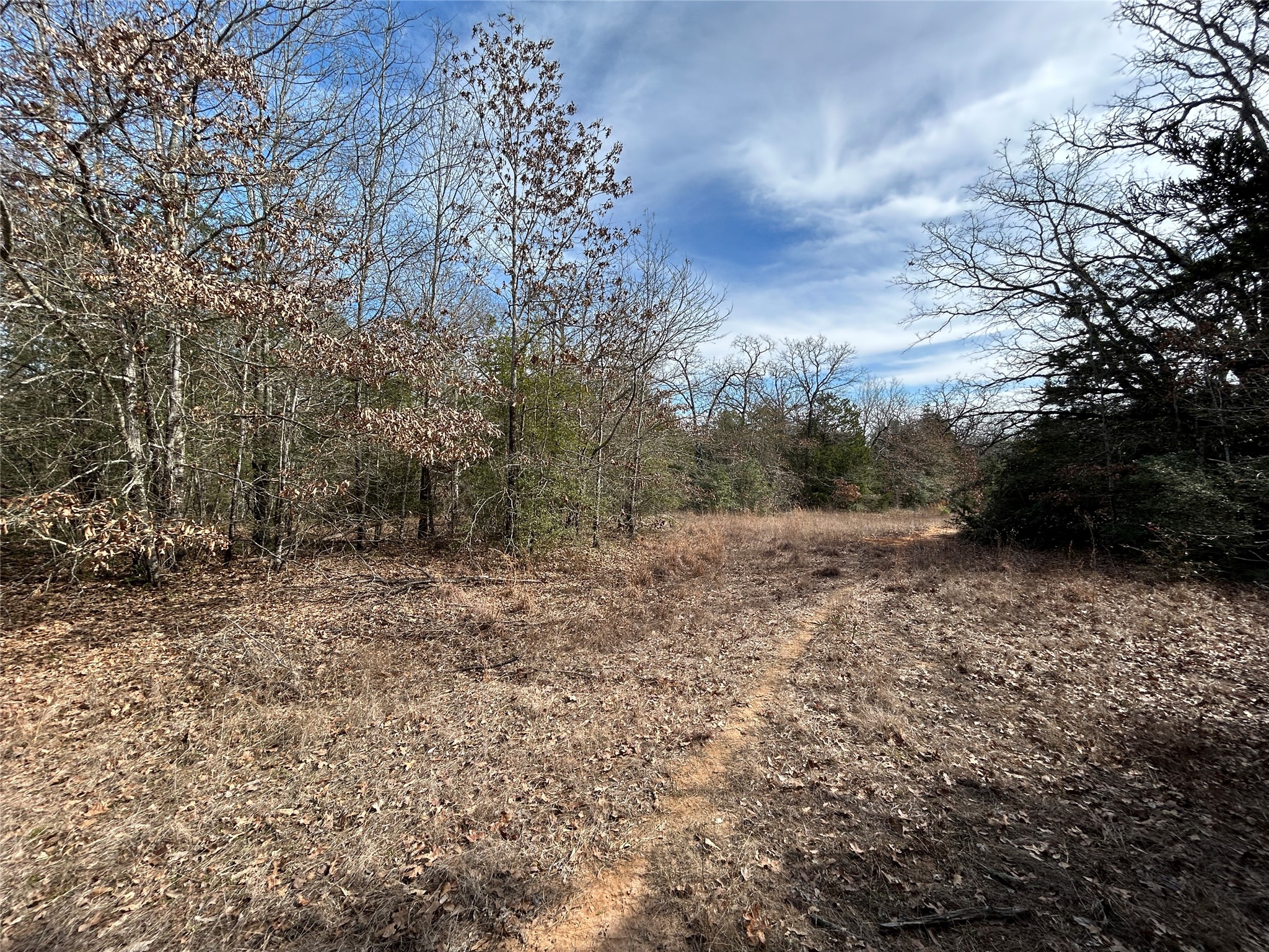 Tbd Fcr 540 Fairfield TX 75840