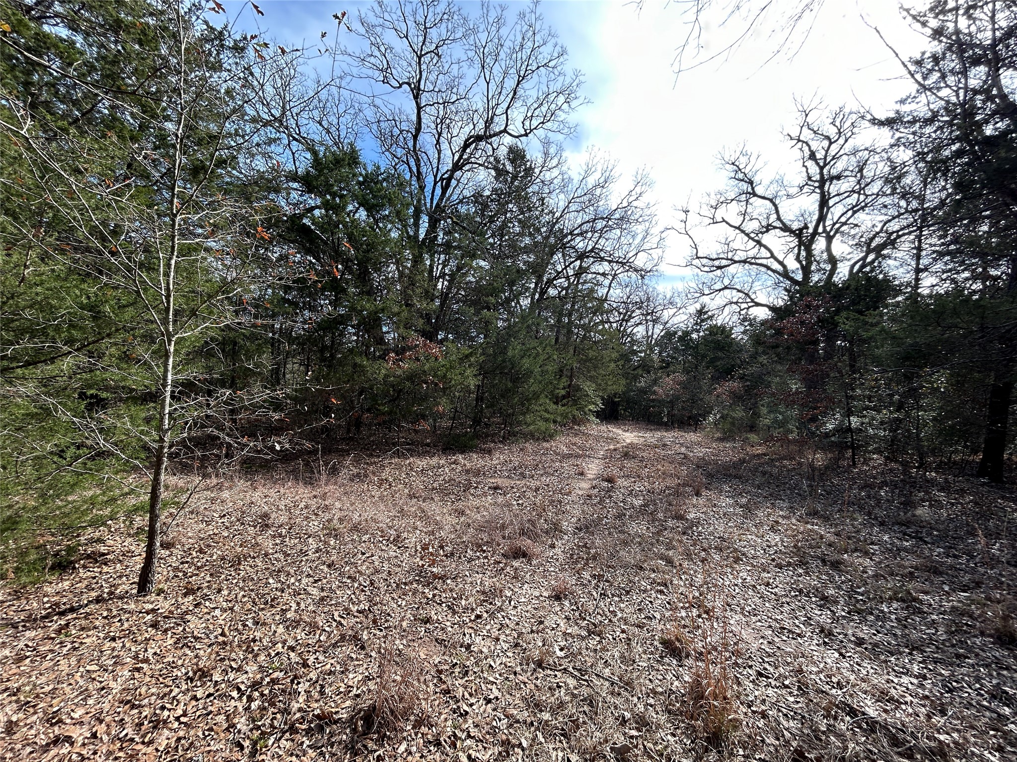 Tbd Fcr 540 Fairfield TX 75840