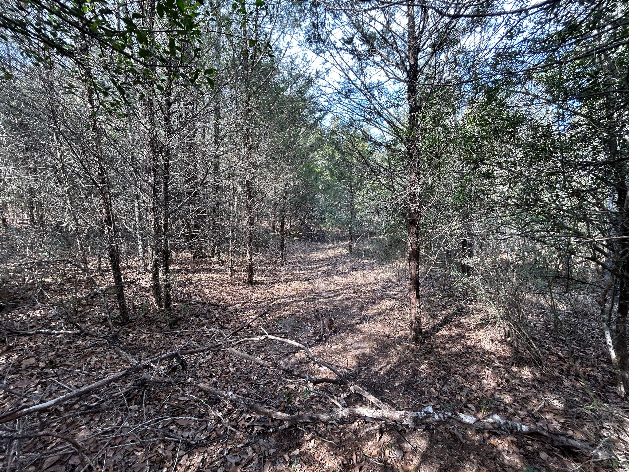 Tbd Fcr 540 Fairfield TX 75840