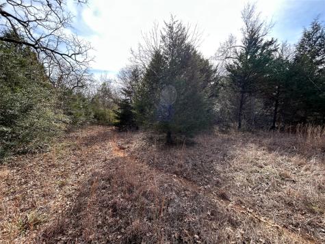 Tbd Fcr 540 Fairfield TX 75840