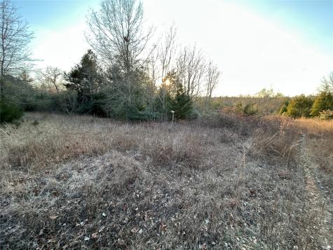 Tbd Fcr 540 Fairfield TX 75840