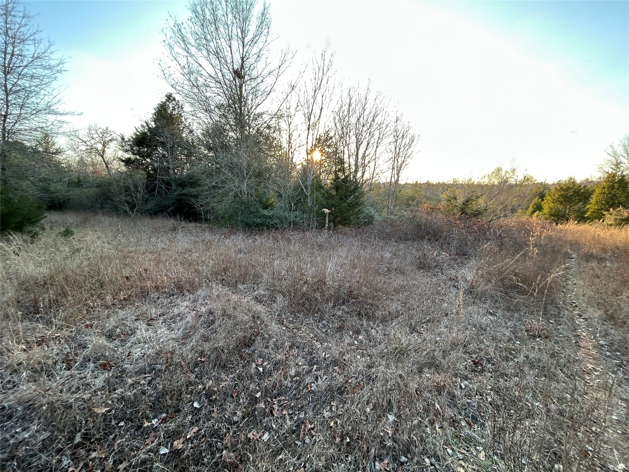 Tbd Fcr 540 Fairfield TX 75840