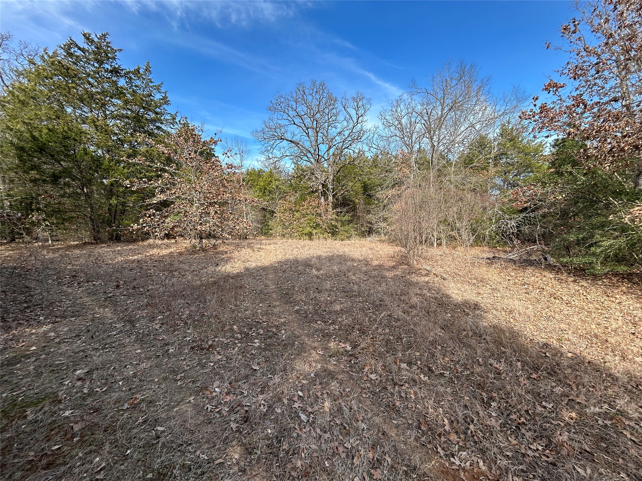 Tbd Fcr 540 Fairfield TX 75840