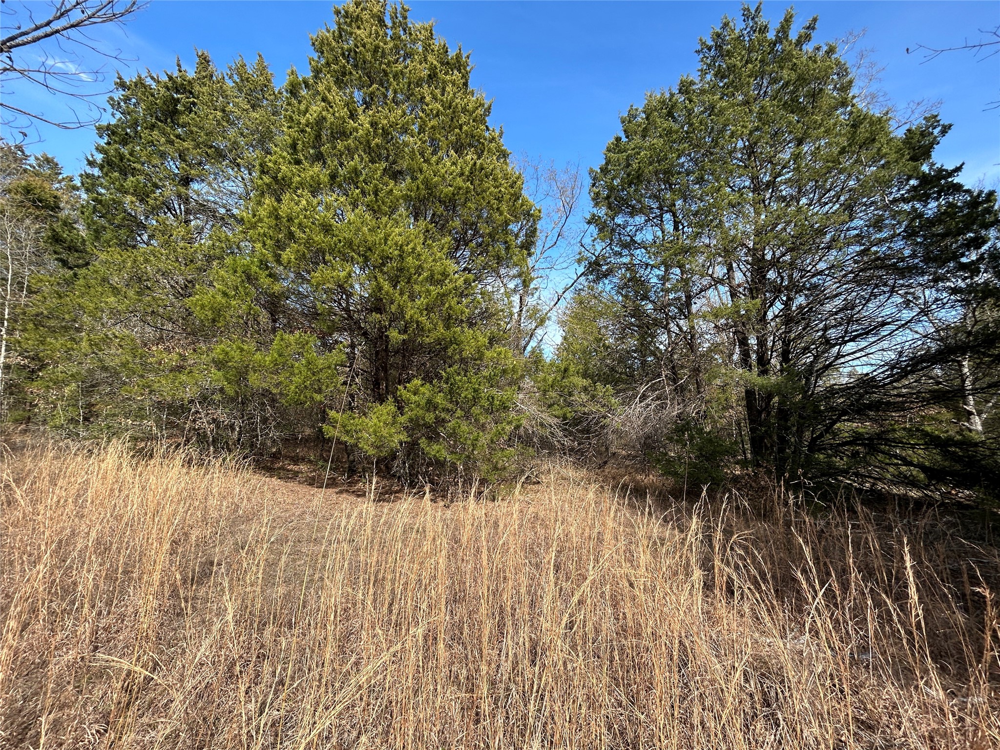 Tbd Fcr 540 Fairfield TX 75840