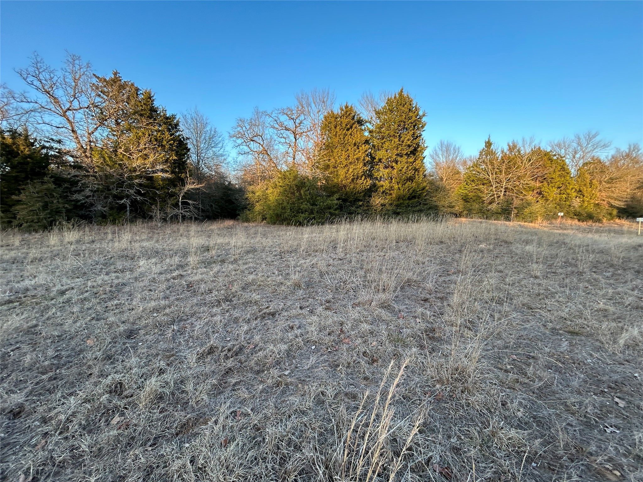 Tbd Fcr 540 Fairfield TX 75840