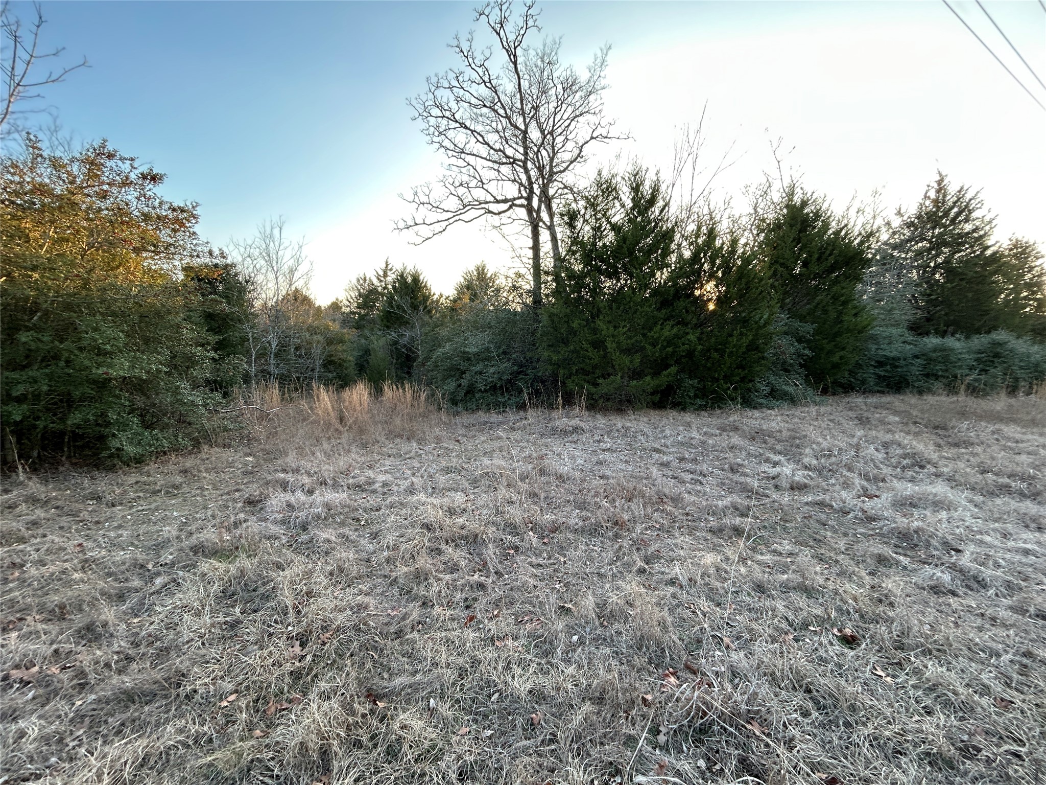 Tbd Fcr 540 Fairfield TX 75840