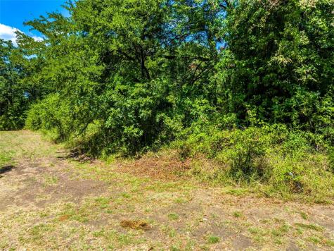Lot 17 S Oaks Lane Lone Oak TX 75453