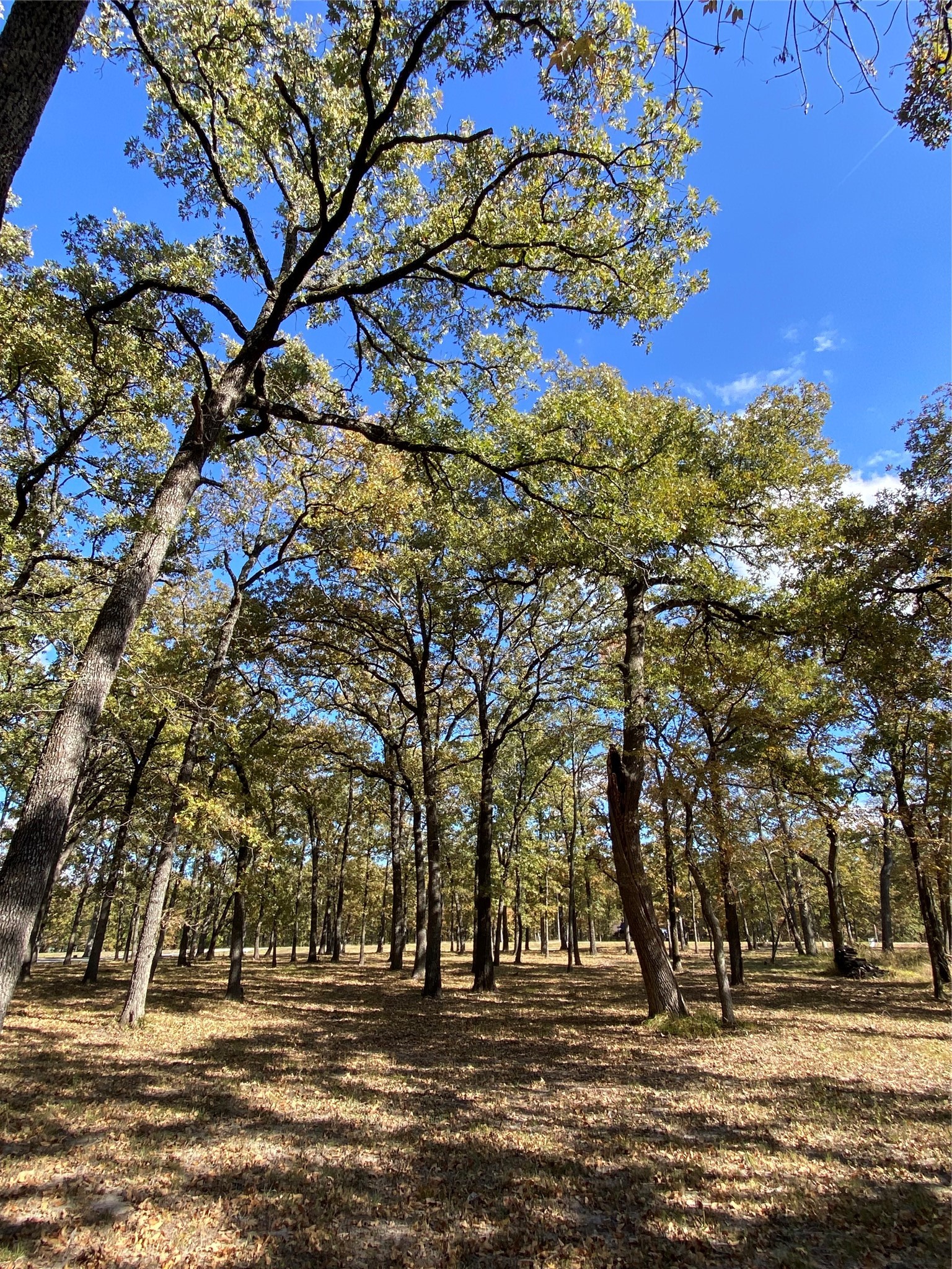 Tbd Nautical Drive Quinlan TX 75474