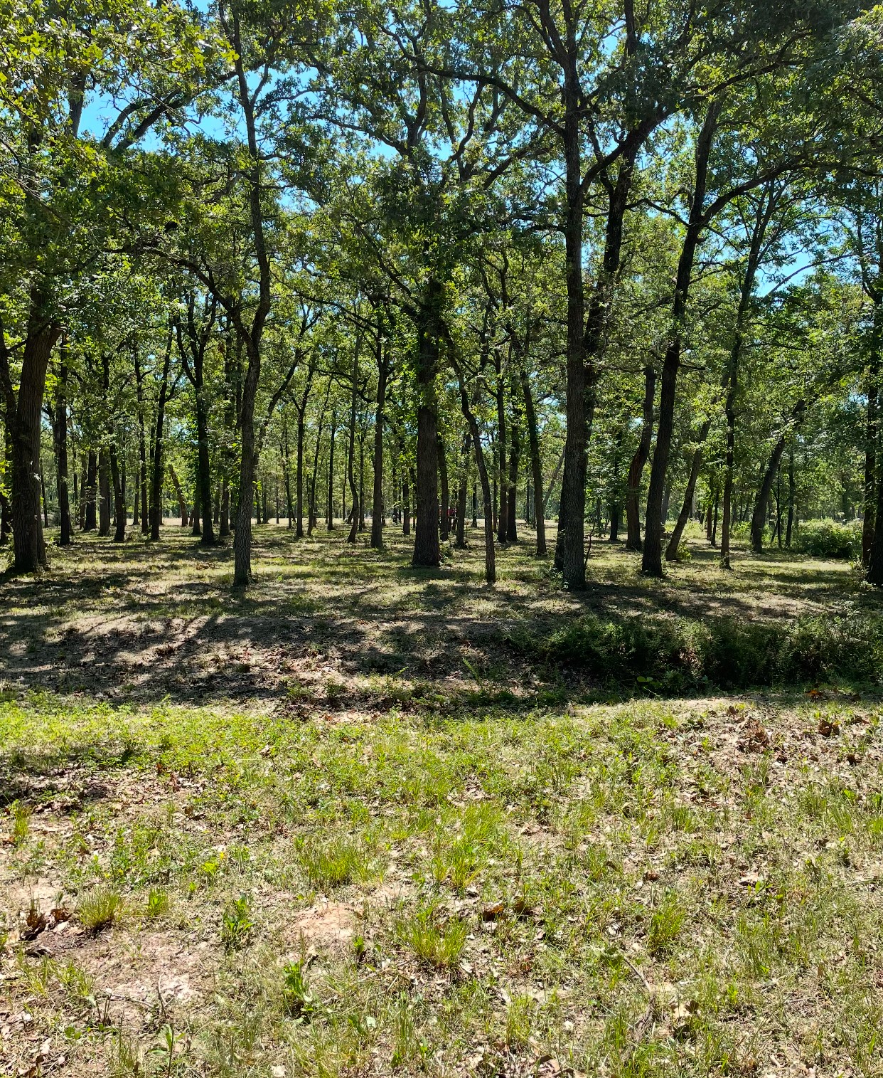 Tbd Nautical Drive Quinlan TX 75474