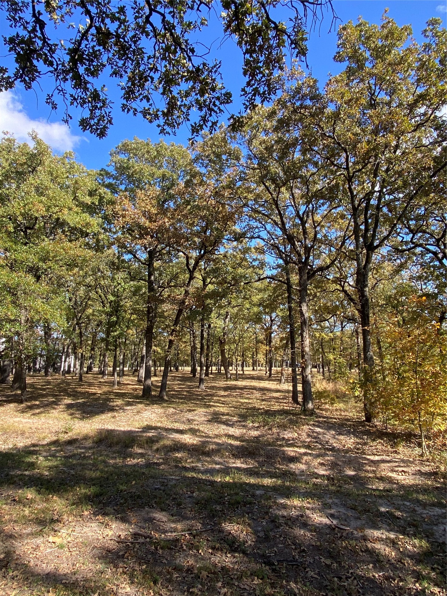 Tbd Nautical Drive Quinlan TX 75474