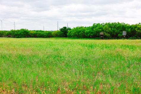 250 Cr 317 Putnam TX 76469