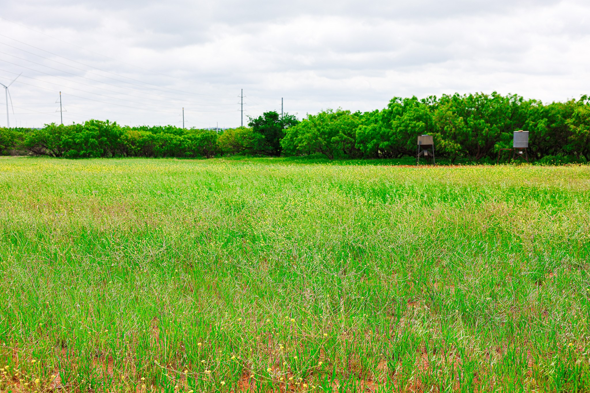250 Cr 317 Putnam TX 76469