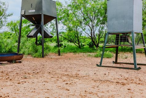 250 Cr 317 Putnam TX 76469