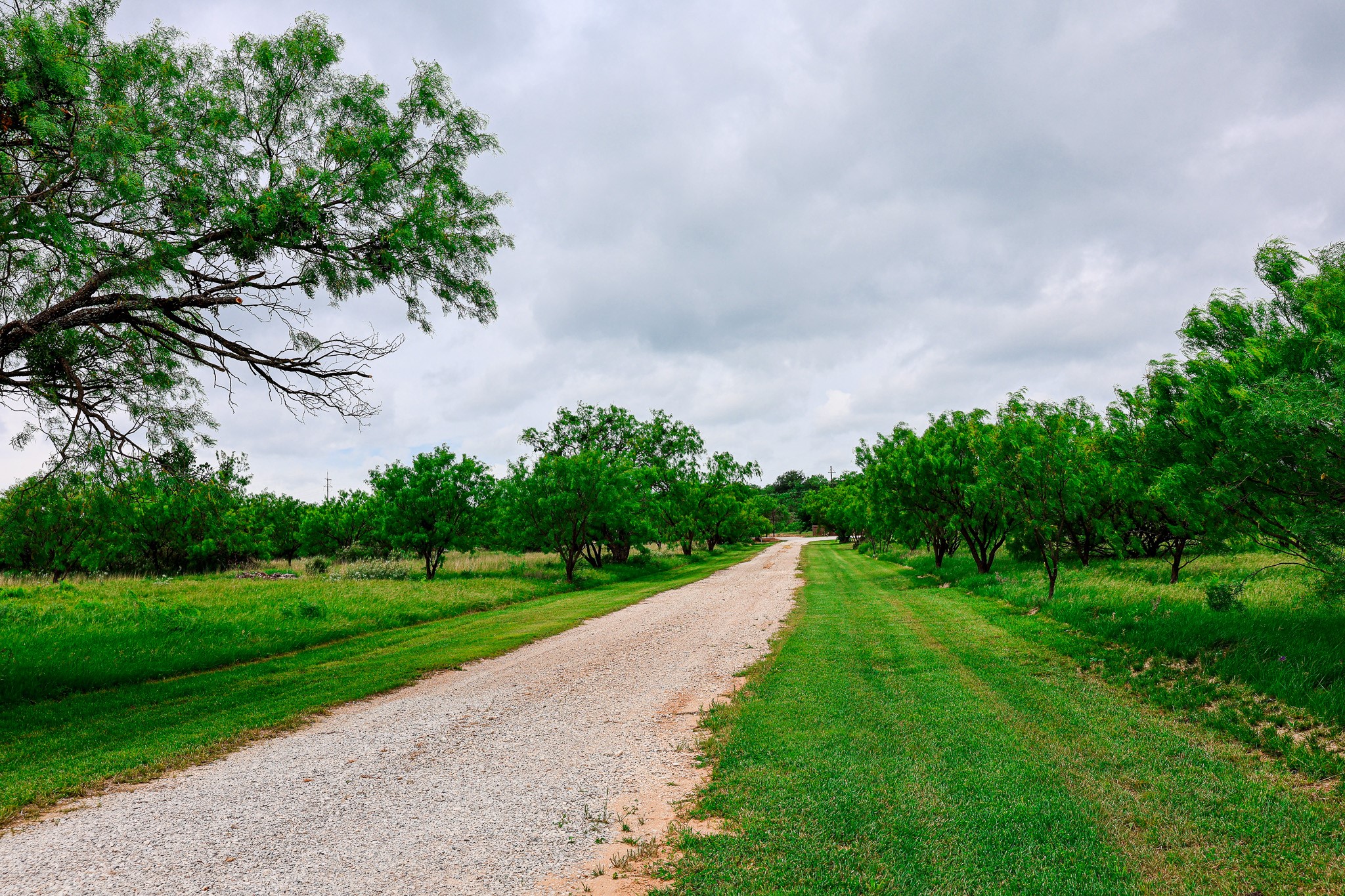 250 Cr 317 Putnam TX 76469