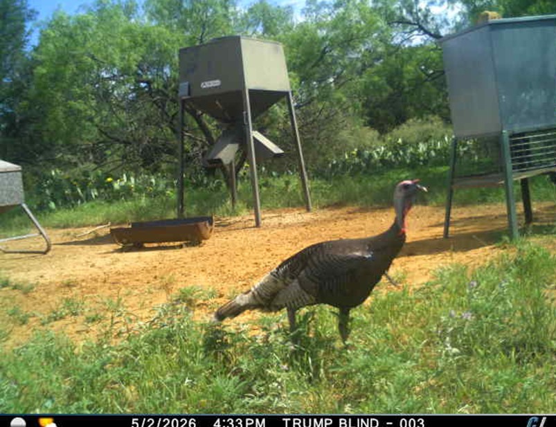 250 Cr 317 Putnam TX 76469