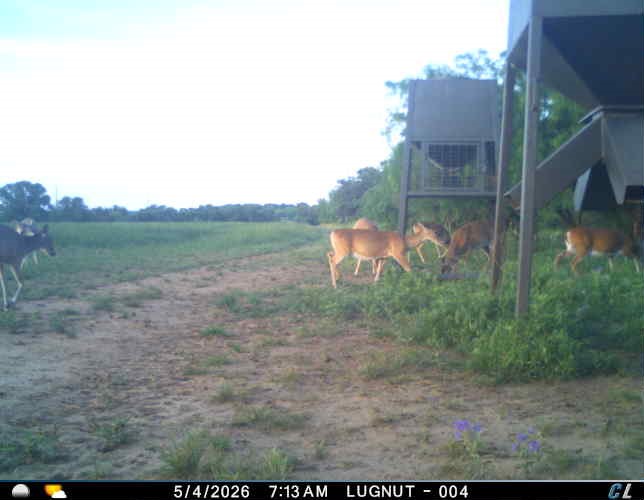 250 Cr 317 Putnam TX 76469