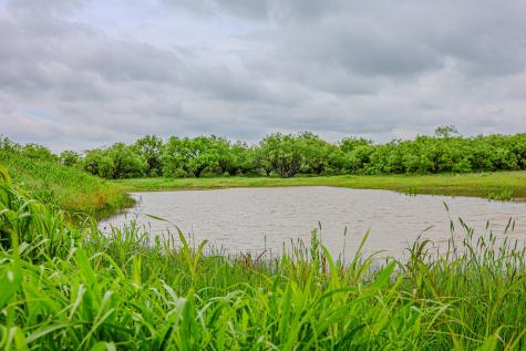 250 Cr 317 Putnam TX 76469