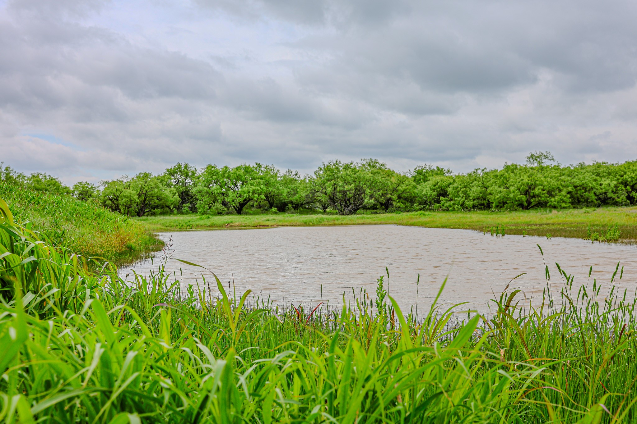 250 Cr 317 Putnam TX 76469