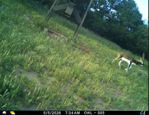 250 Cr 317 Putnam TX 76469