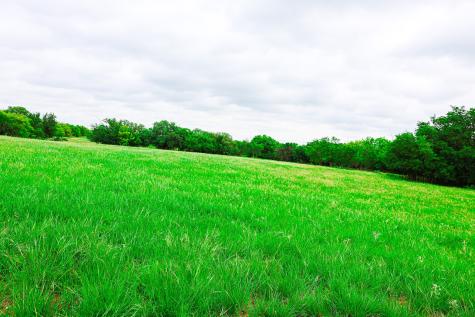 250 Cr 317 Putnam TX 76469