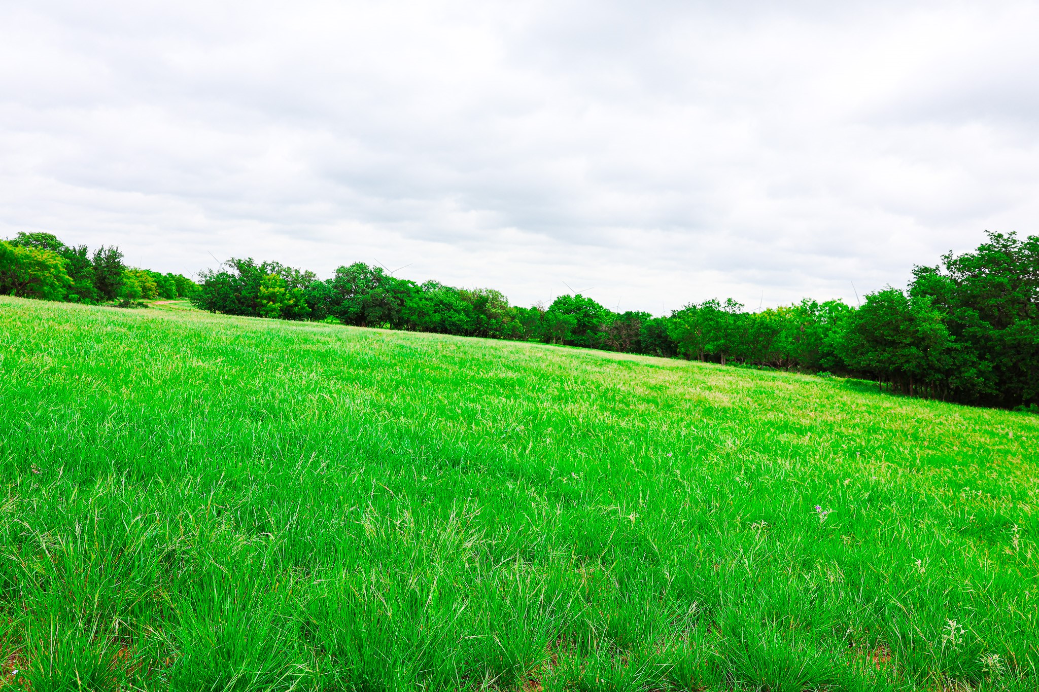 250 Cr 317 Putnam TX 76469