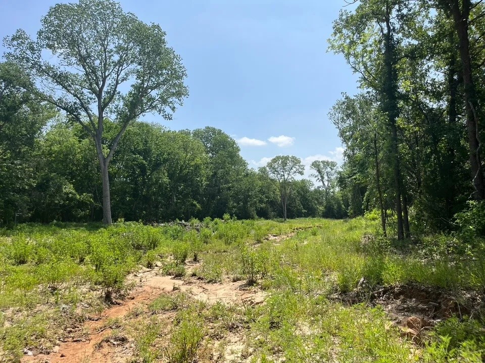 Lot 45 Antrim Court Poolville TX 76487