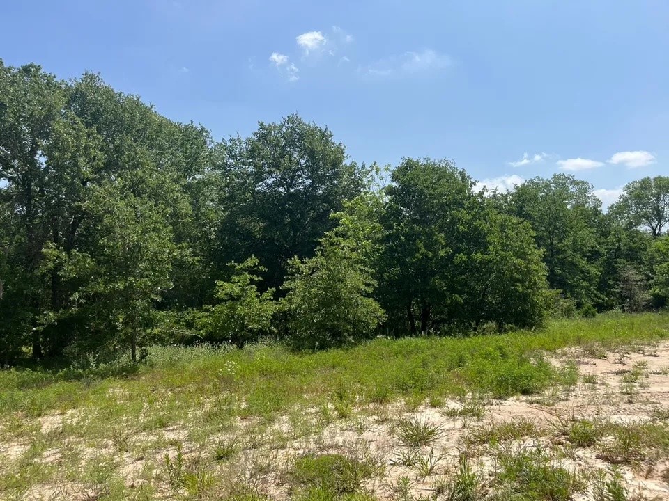 Lot 45 Antrim Court Poolville TX 76487