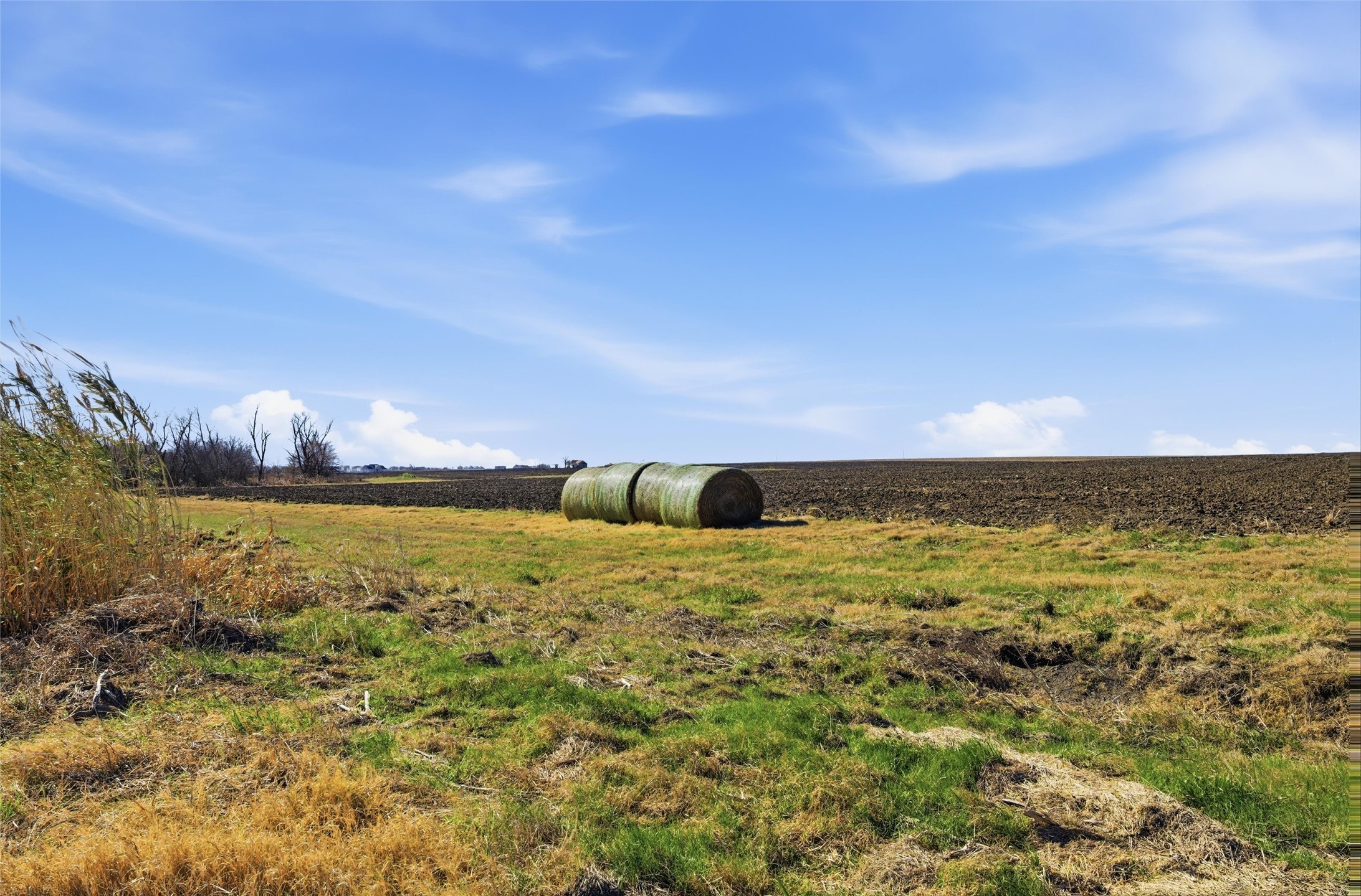 Tbd 2 Fm 2114 Road Penelope TX 76676
