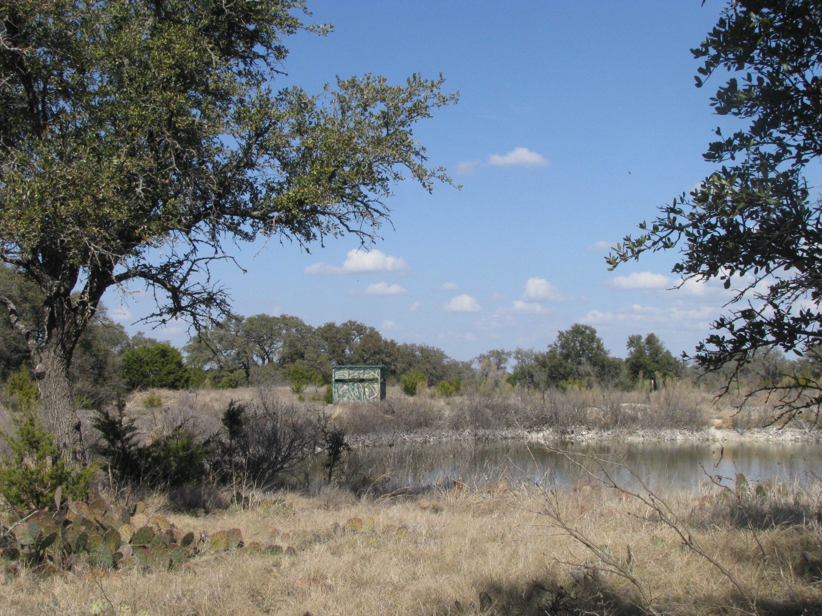 Tbd Fm 2842 Pottsville TX 76565