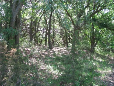 Tbd Fm 2842 Pottsville TX 76565