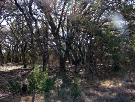 Tbd Fm 2842 Pottsville TX 76565