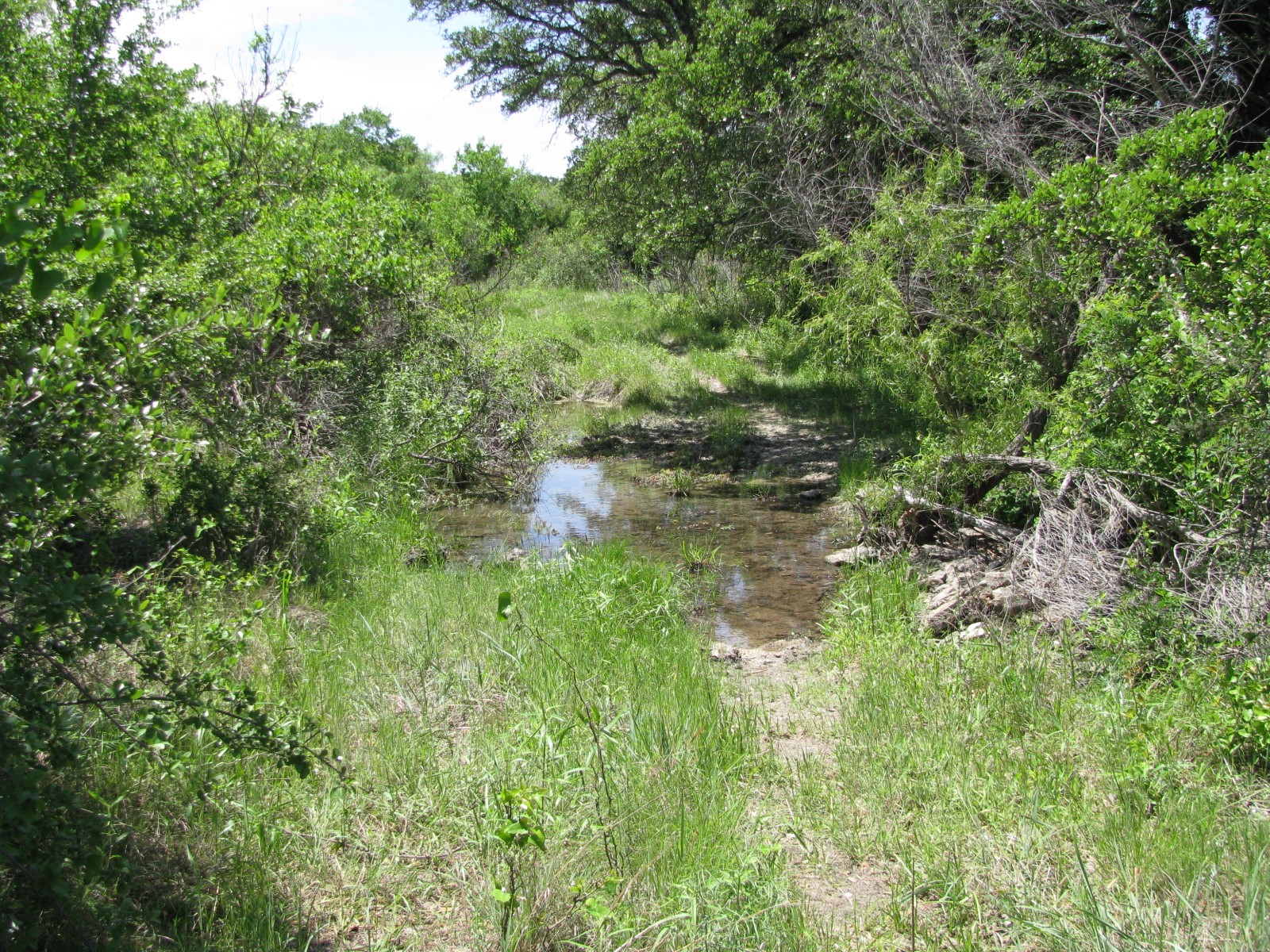 Tbd Fm 2842 Pottsville TX 76565